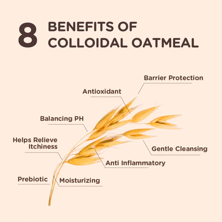 sg-11134207-7rbkw-lpubxyvyd6x1e6@resize_w450_nl